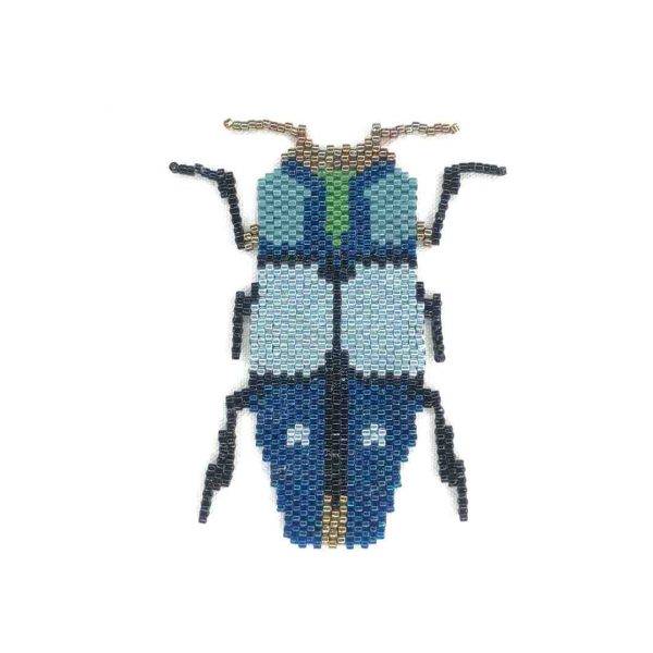 scarabée bleu cobalt